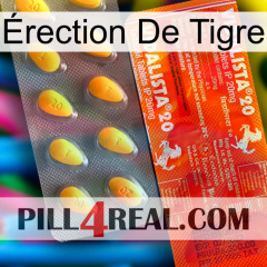 Érection De Tigre new01